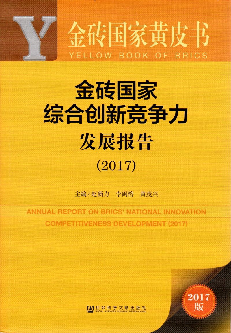 嗯…嗯∽再快一点…人家要出水了金砖国家综合创新竞争力发展报告（2017）